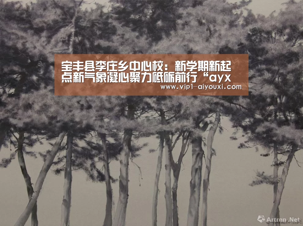 宝丰县李庄乡中心校：新学期新起点新气象凝心聚力砥砺前行“ay